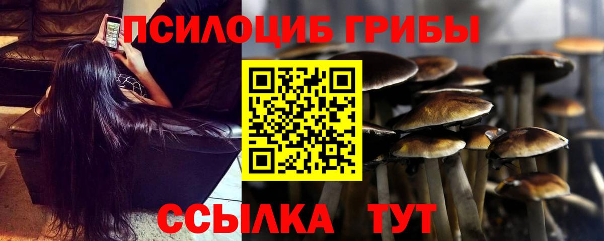 Абакан  Псилоцибиновые грибы Magic Shrooms  Псилоцибиновые грибы MAGIC MUSHROOMS  Вход с VPN 